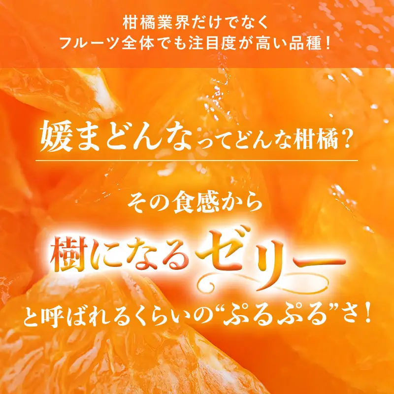 【先行予約】媛まどんな（3kg） 