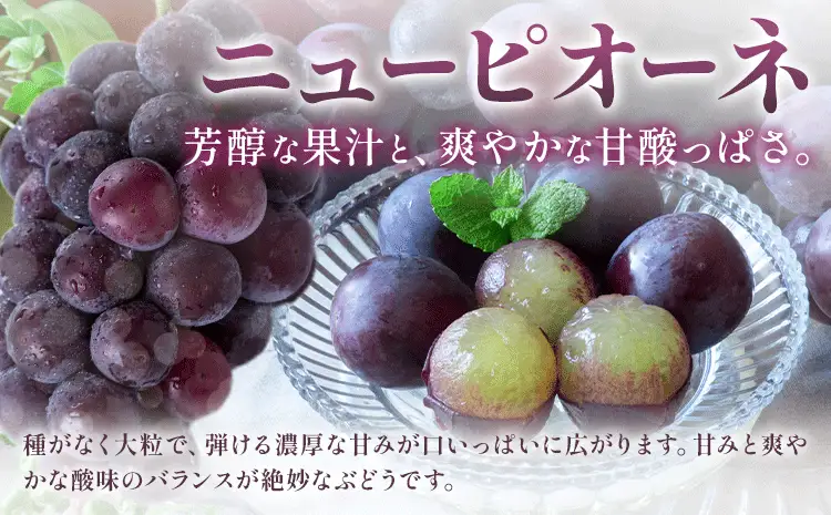 【定期便】旬のフルーツ定期便 岡山のﾌﾙｰﾂ 定期便 Aコース 4回定期便 岡山県産 桃 シャインマスカット ニューピオーネ 梨 《7月上旬-12月末頃出荷》岡山県 笠岡市 フルーツ 旬 果物 ぶどう 梨 マスカット お取り寄せ