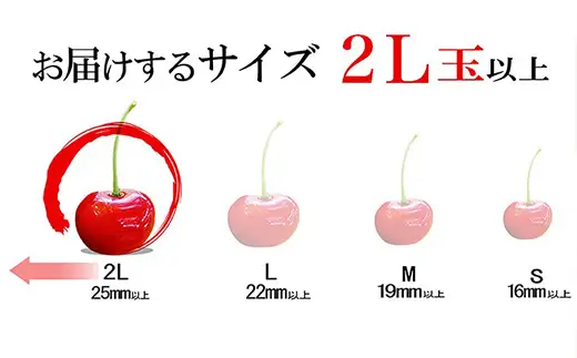 さくらんぼ 品種おまかせ 2L 500g 山形 08-10-025
