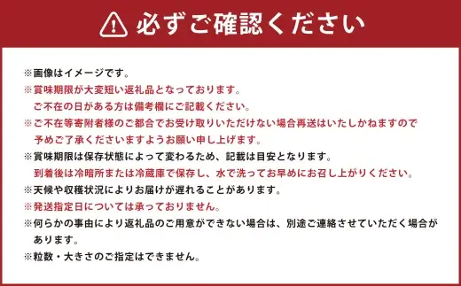 シャインマスカット 2房 約1kg マスカット 葡萄 くだもの 果物 フルーツ 果実 ぶどう ブドウ 皮ごと 種無し ギフト 贈答 贈り物 果汁 国産 岡山県産  【 2026年10月下旬～11月下旬発送予定 】