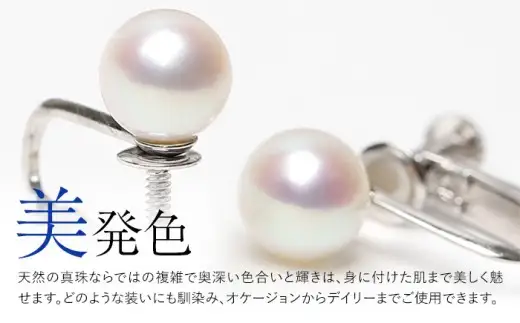 あこや真珠 イヤリング 8.0-8.5mm SV925 シルバー パール 真珠 あこや レディース アクセサリー ジュエリー オシャレ 装飾 装飾品 カジュアル シンプル 宝石保証書 ギフト ジュエリーポーチ ポーチ付き