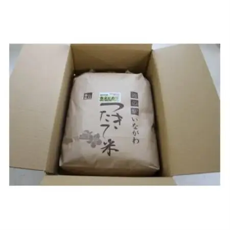 【毎月定期便】猪名川町のお米・キヌヒカリ(玄米)30kg×全3回【4086360】
