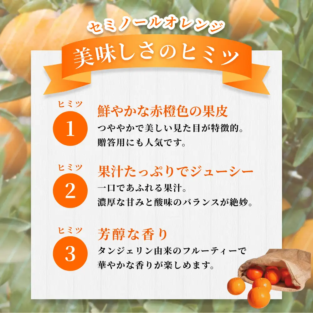 みかん【贈答用】 セミノールオレンジ 約5kg 【2026年4月中旬～5月下旬頃に順次発送】【BV-mrmt100】