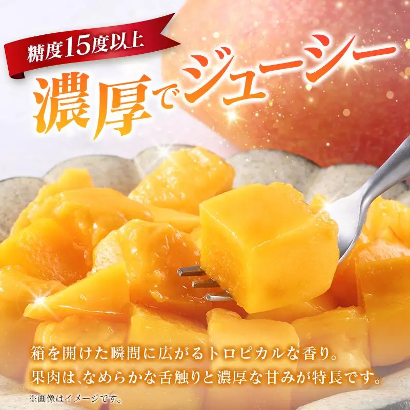 《甘い!!糖度15度以上》 宮崎 樹上完熟 マンゴー 2Lサイズ×3玉 霧島連山の麓育ち 宮崎県産 トロピカル フルーツ お取り寄せ 果物 旬
