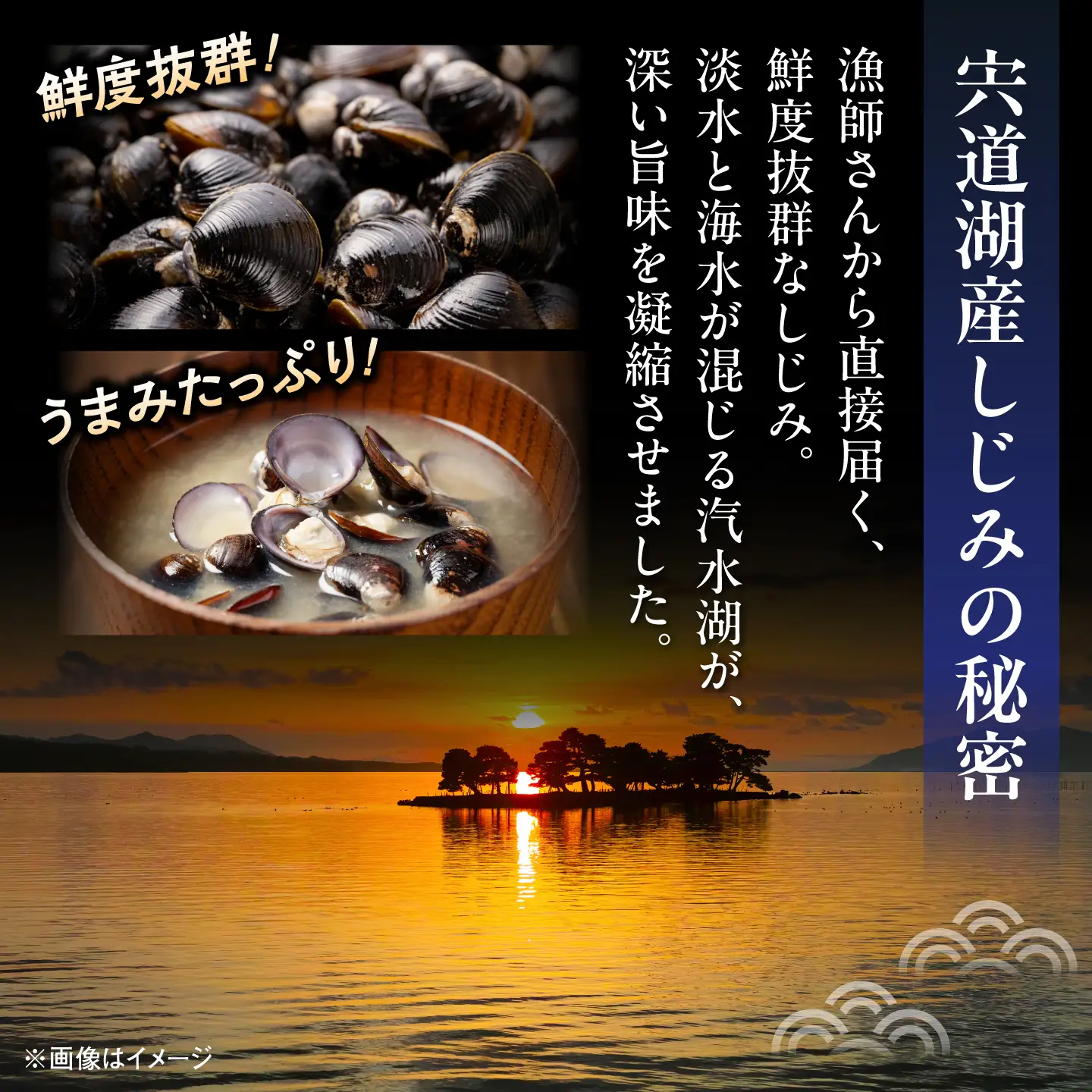 八雲縁結び宍道湖産しじみのみそ汁(赤だし味噌)43g×20袋 島根県松江市/平野缶詰有限会社[ALBZ057]