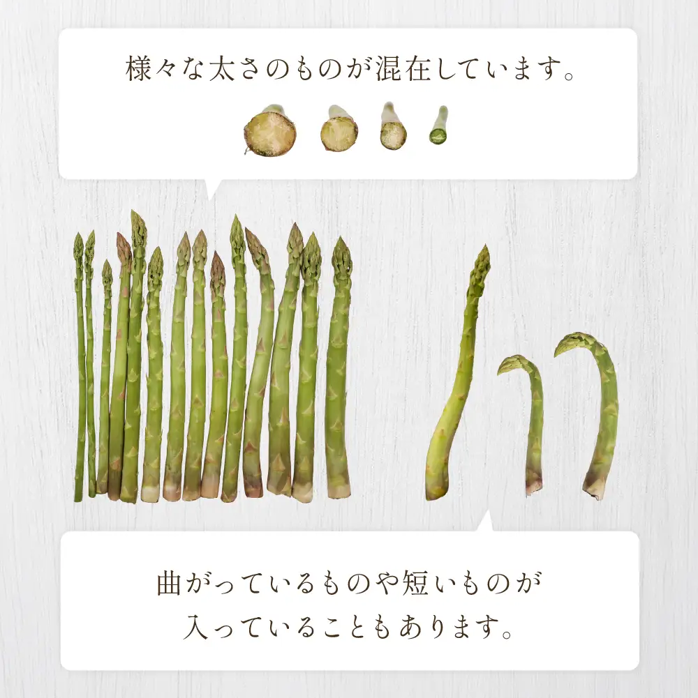 （2026年5月中旬以降から順次発送）訳ありアスパラガス 1.3kg 【期間限定】【119-7】
