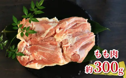 地鶏 愛媛 媛っこ地鶏 もも むね セット 約700g 鶏肉 鳥肉 肉 チキン むね肉 もも肉  焼肉 焼き鳥  BBQ 冷凍 国産 高級 タンパク質 低脂肪 糖質 唐揚げ チキン南蛮 サラダチキン スープ 出汁 ダイエット 愛南町 送料無料 ローカルスタンダード
