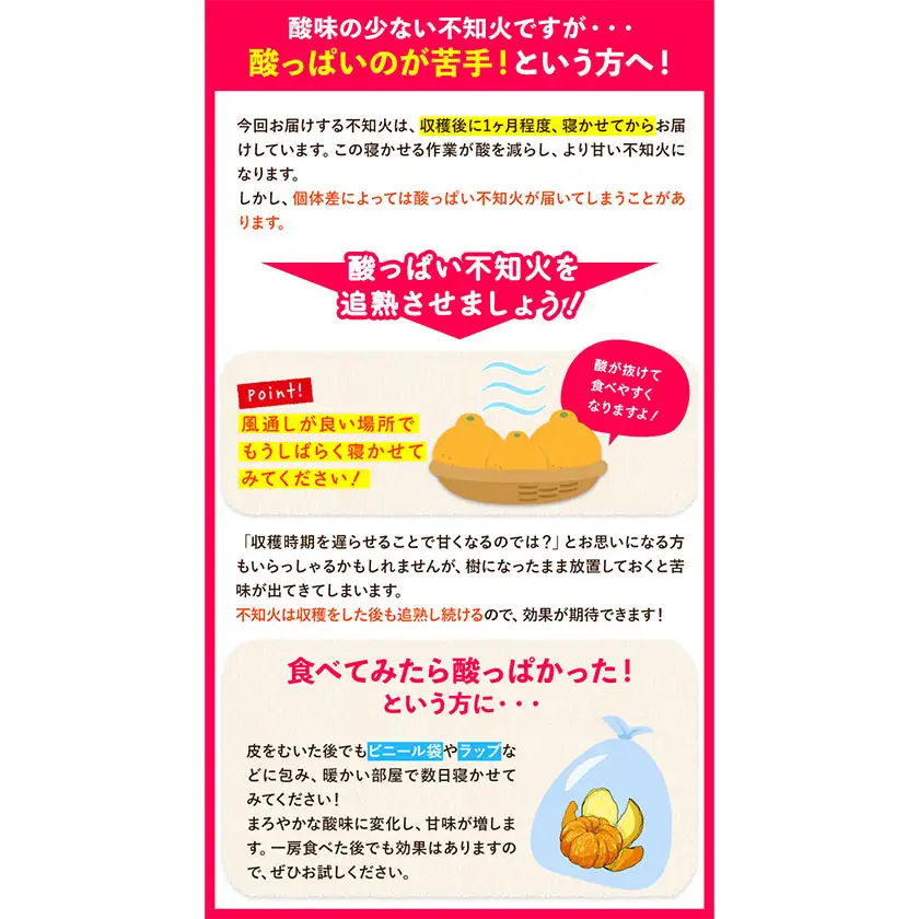 ご家庭用 不知火 約4.5kg 