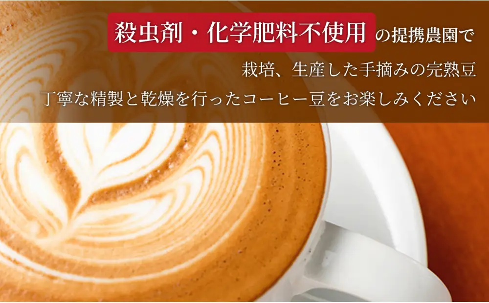 【定期便全2回】 バリ島中煎り 200g×5袋 1セット コーヒー豆 珈琲豆 中煎り焙煎 コーヒー 珈琲 ドリップコーヒー スペシャルティコーヒー バリ島産 バリ島コーヒー豆  家カフェ 香川県 高松市