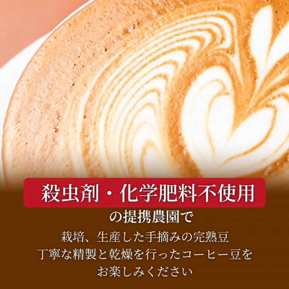 猫と海コーヒー（浅煎りブレンド）200g/猫と夕陽コーヒー（中煎りブレンド）200g/猫と月コーヒー（深煎りブレンド）200g 各5袋 【2セット】 コーヒー豆 珈琲豆 浅煎り 中煎り 深煎り 焙煎 コーヒー 珈琲 インドネシア産 ブラジル産 グアテマラ産 エチオピア産 ドリップコーヒー スペシャルティコーヒー 家カフェ  香川県 高松市
