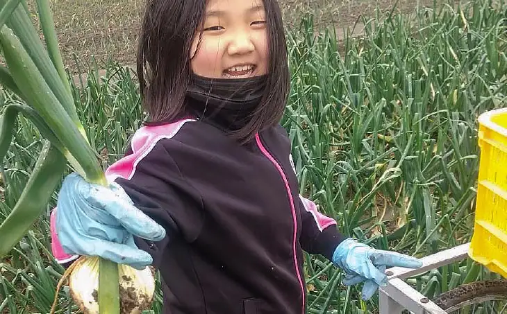 【完熟玉ねぎ予約】中山さんちから直送　淡路島たまねぎ5㎏　◆R8.6月下旬～発送