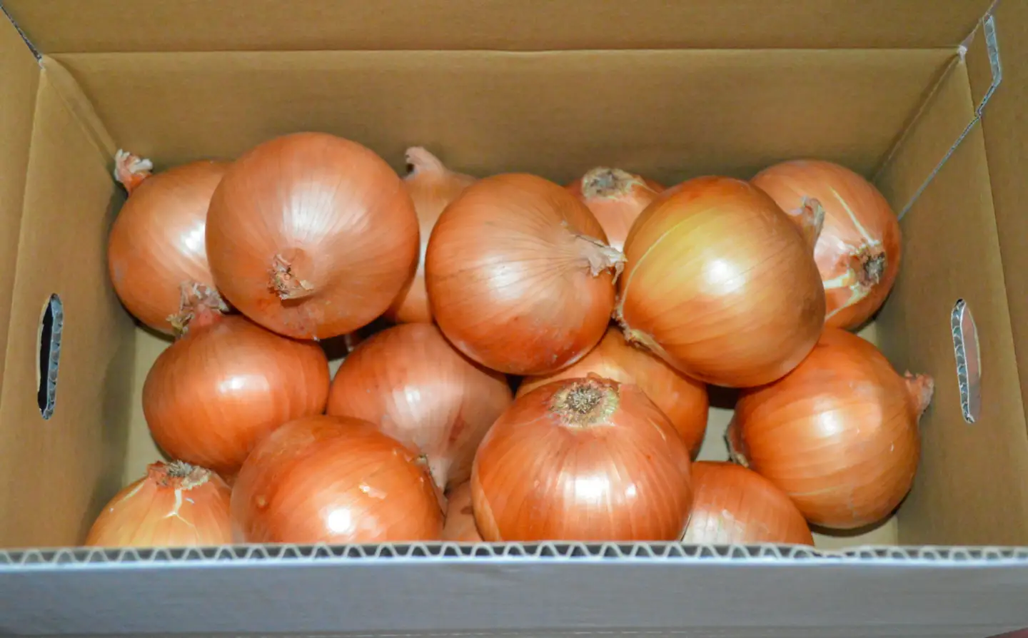 【淡路島の青果屋】【完熟玉ねぎ予約】淡路島産たまねぎ　5kg 甘さに自信!!ほんまもん!!　◆R8.5月末～発送