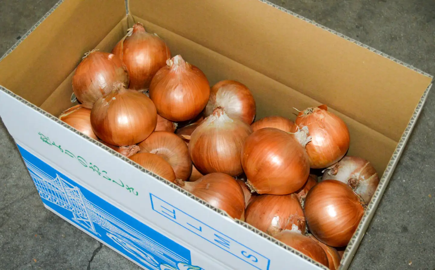 【淡路島の青果屋】【完熟玉ねぎ予約】淡路島産たまねぎ　10kg 甘さに自信!!ほんまもん!!　◆R8.5月末～発送