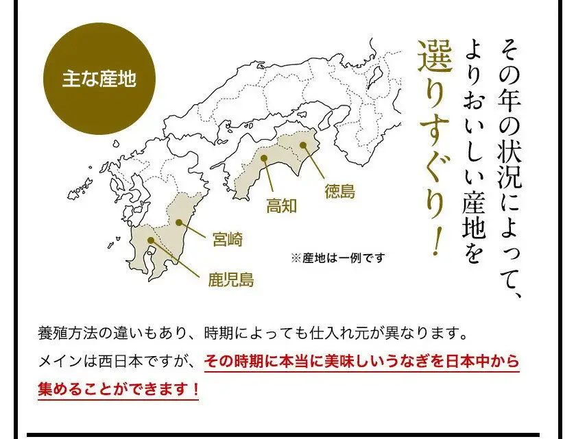 【丑の日用】国産うなぎ蒲焼き大サイズ5本セット(B1169-1) 