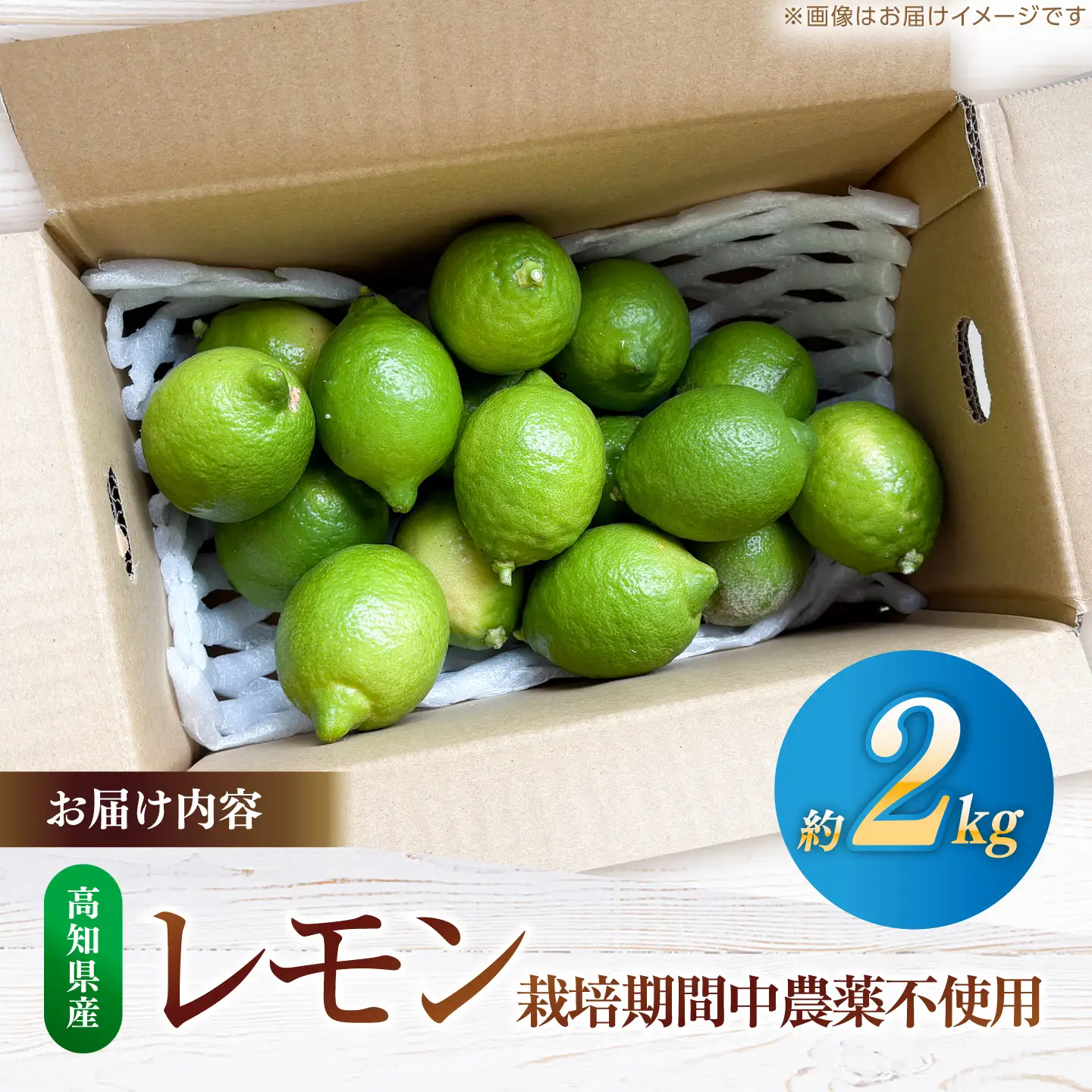 【先行予約】 レモン 約2kg 栽培期間中農薬不使用 〈2026年10月上旬～2026年12月末〉 / 高知 レモン 果物 柑橘 フルーツ デザート 調味料 料理 【川渕果樹園】[ATHX008]