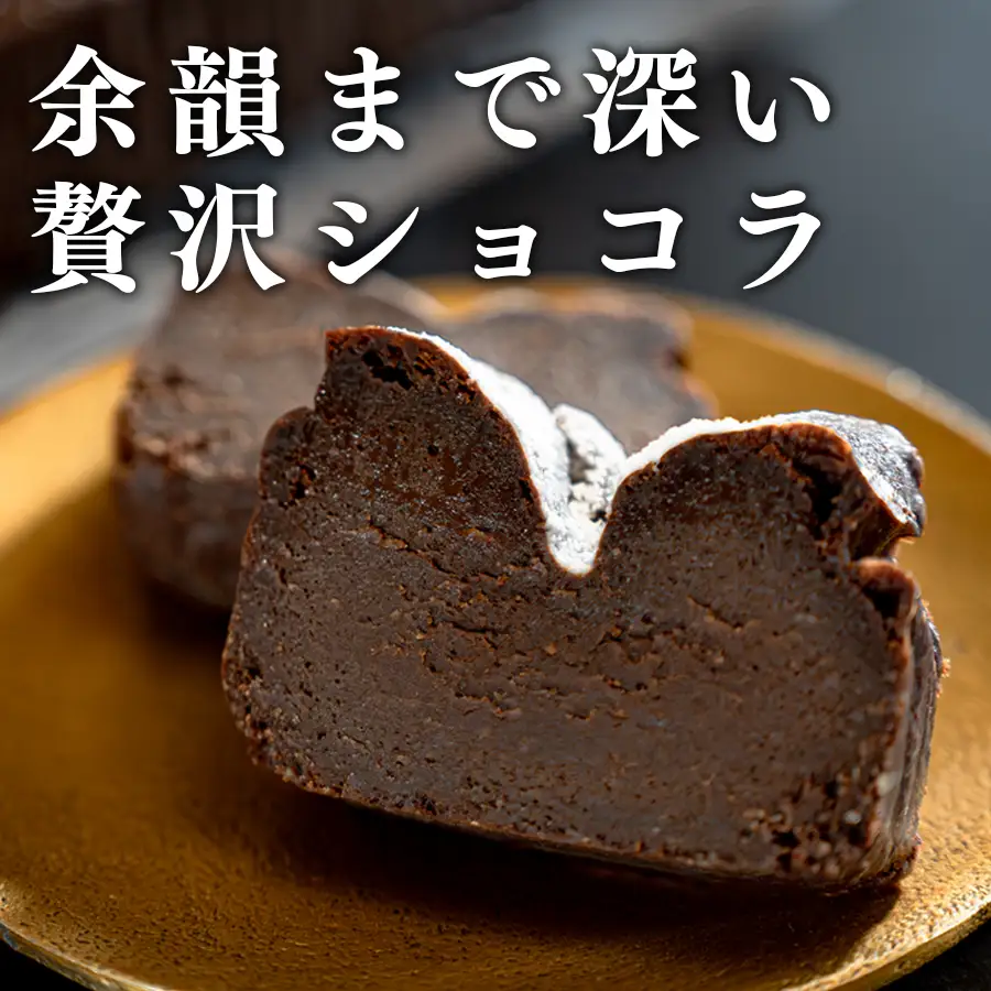 濃厚 ガトーショコラ 1本 18cm 定期便 6回 なめらか 小麦粉不使用 チョコレート ケーキ