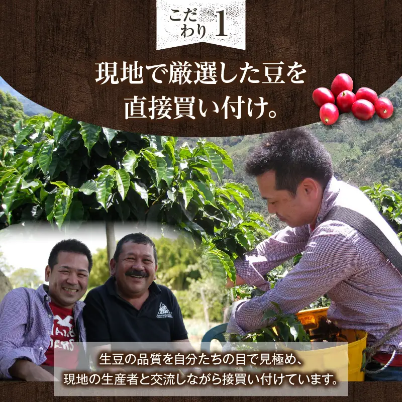 厳選！世界のスペシャルティコーヒー 250ｇ×3種 豆_08-386-1