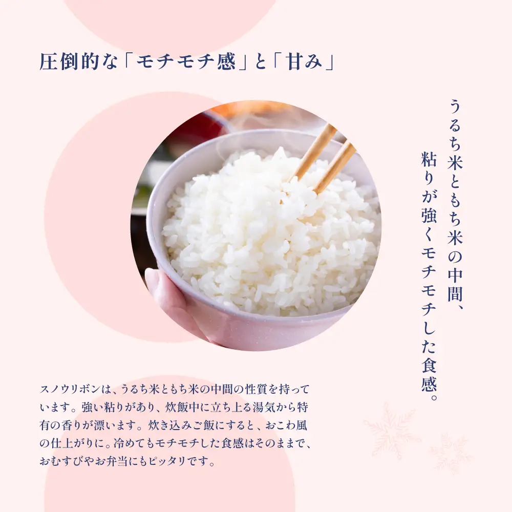【2025年産米】スノウリボン（ゆきむすび）5kg×1袋【13-53】