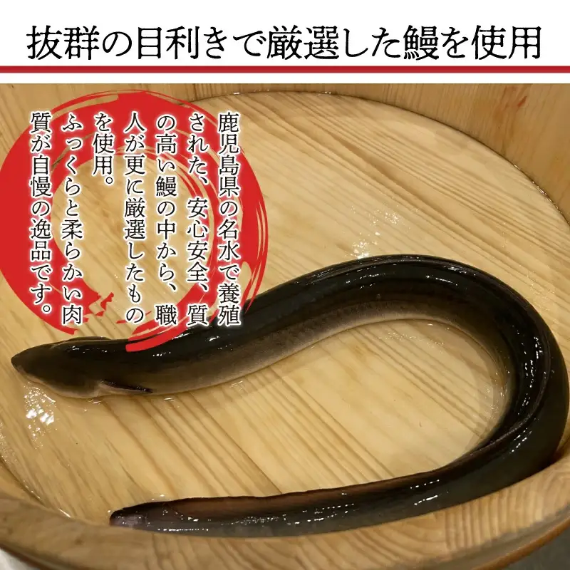 【6ヶ月定期便】九州産手焼きうなぎ白焼き 4尾（約600g） [M988-1]