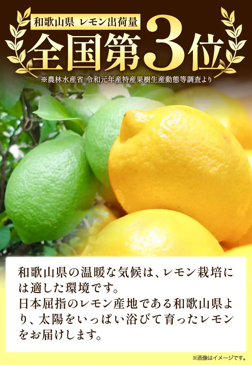 有田産 レモン 約 5kg 厳選館 レモン 檸檬