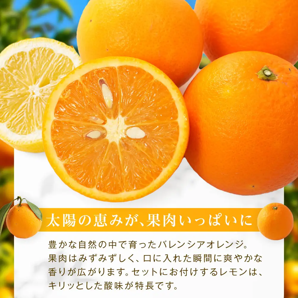 バレンシアオレンジ５ｋｇ＋璃の香（レモン）１個【2026年6月以降発送】