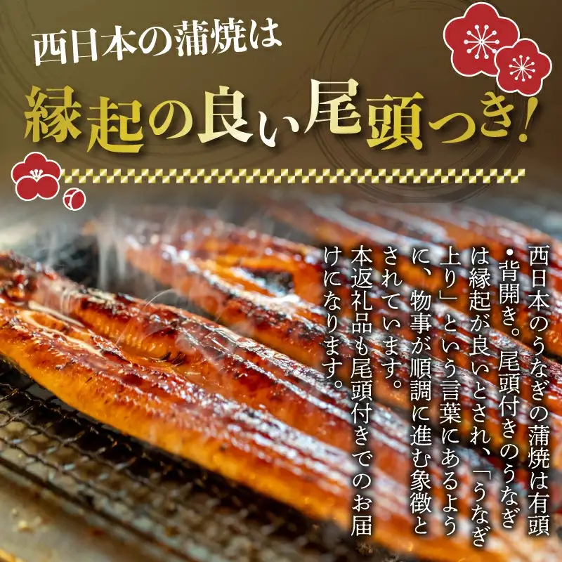 【6ヶ月定期便】九州産手焼きうなぎ蒲焼き＆白焼き 2本（約300g） [M990-1]