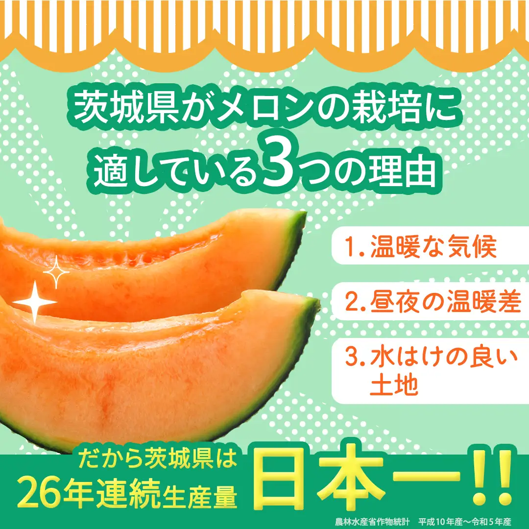 【定期便】 赤肉アールスメロン 3玉 × 12か月連続