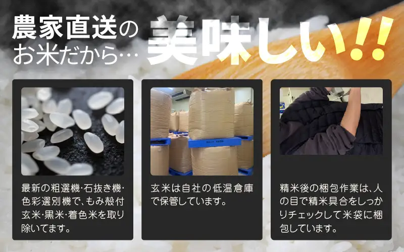 先行予約 コシヒカリ 白米 2kg ×1袋 精米 ブランド米 2026年10月上旬以降順次発送 [A-8989]