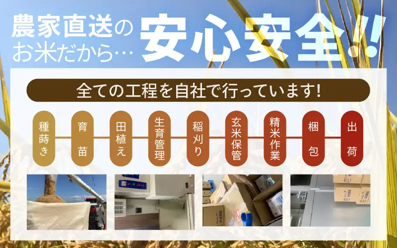 先行予約 定期便 3ヶ月連続お届け コシヒカリ 2kg (1袋) × 3回 計6kg 白米 ブランド米 2026年10月上旬以降順次発送 [A-8992]