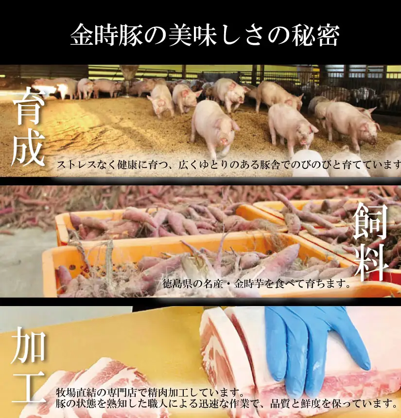 豚肉 切り落とし 2kg 豚肉