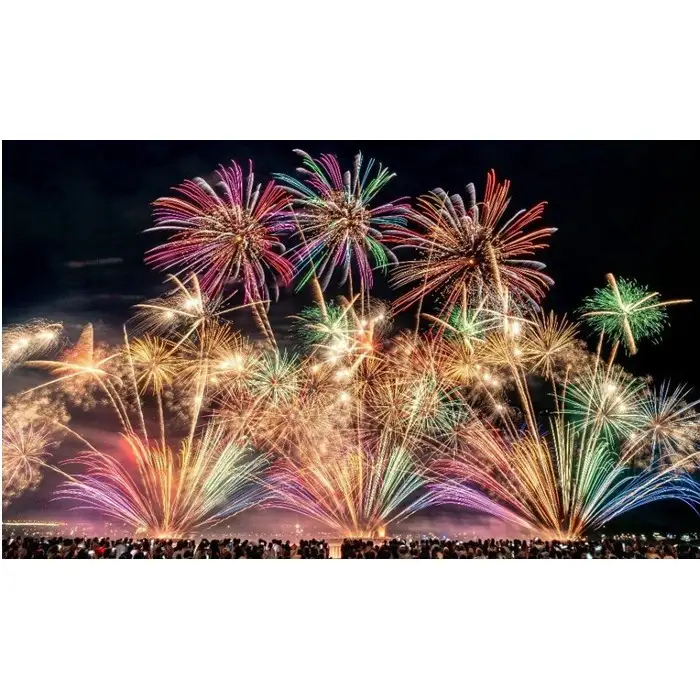 【限定45席】「2026広島みなと 夢 花火大会」有料観覧席/1万トンバースイス席（定員1名）