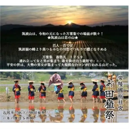 【玄米20kg⇒五分搗き米】筑波山麓厳選★検査1等米こしひかり【恋瀬姫の舞】令和7年産【配送不可地域：離島・沖縄県】【1733486】