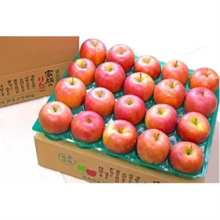 【26年11月から順次発送】青森県産 りんご シナノスイート 約5kg おもてなし用【配送不可地域：沖縄県】【1735216】