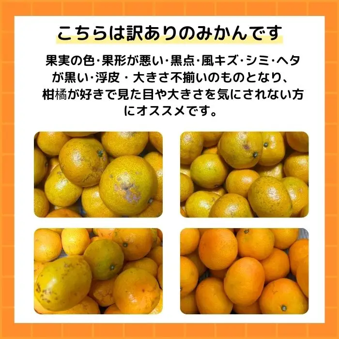 【先行予約】訳あり 愛媛みかん 3kg  傷み補償 250g 清家ばんかんビレッジ