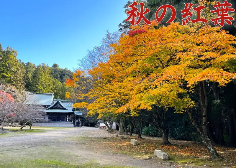 箸蔵山 ロープウェイ「往復券」 境内案内 チケット おとな 2枚【 箸蔵山 】
