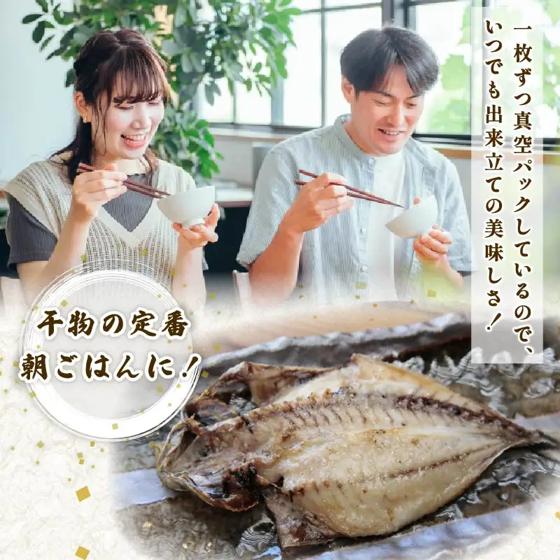 干物 伊豆 下田 ひもの万宝 アジ 干物 10枚 セット 冷凍 静岡 万宝商店