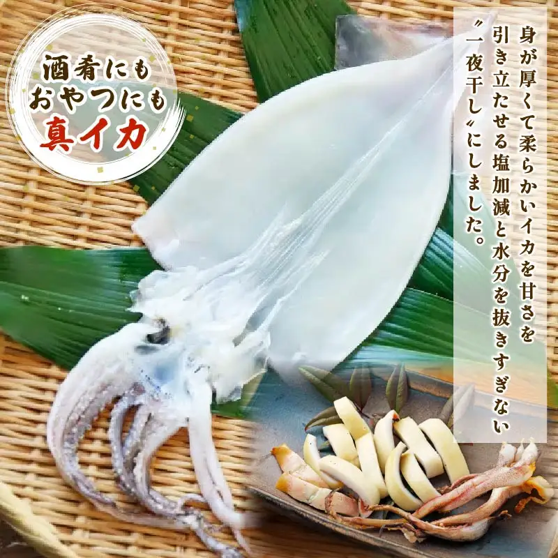 干物 伊豆 下田 ひもの万宝 一夜干し 6枚 イカ 地金目鯛 静岡 万宝商店