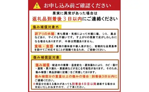  訳あり 河内晩柑 10kg 小玉 2S M サイズミックス 家庭用 愛媛県 愛南町 清家ばんかんビレッジ