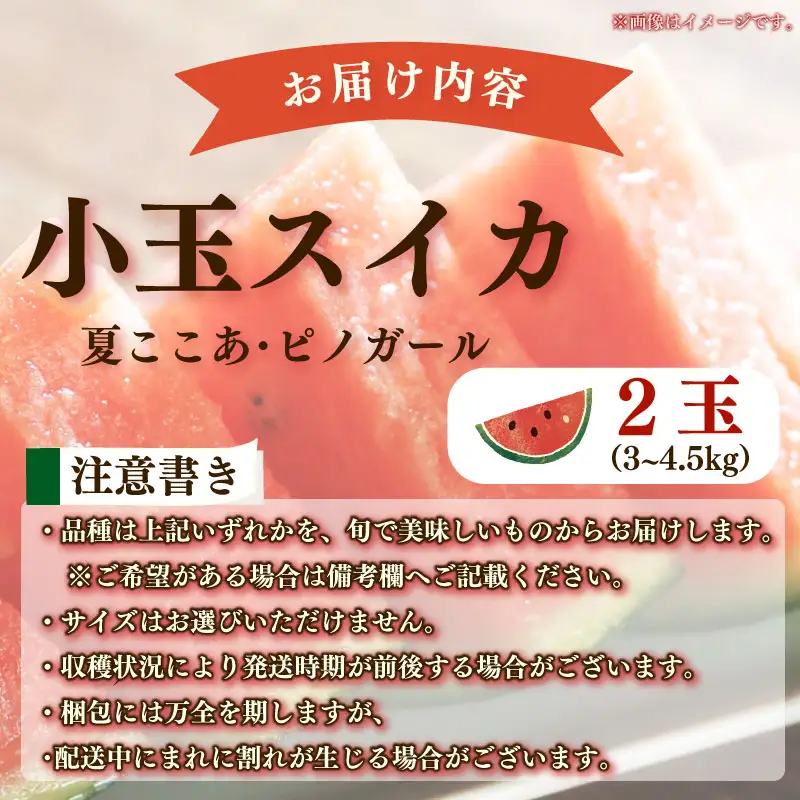 【先行予約 2026年6月下旬順次発送 国産 スイカ】小玉スイカ  赤色 2玉  丸新柴本製茶 静岡 県 牧之原市