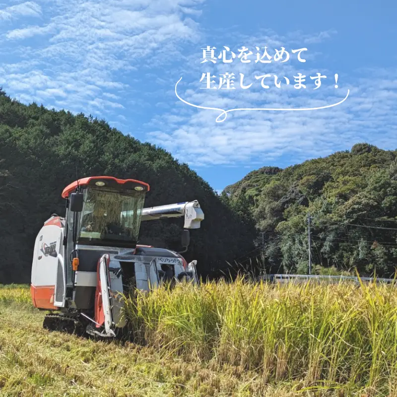 【定期便 3ヶ月】令和7年産 米 ひのひかり 5kg 下関 山口 LO001-A