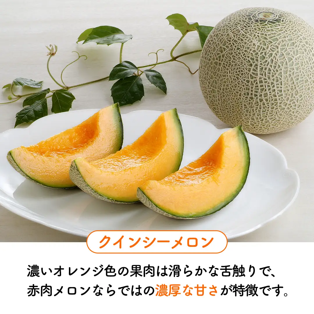 【6月上旬頃より発送】茨城県産 青肉・赤肉メロンセット 秀品または優品 3Lまたは4Lサイズ×各1玉入
