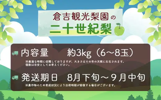 二十世紀梨 3kg【倉吉産】（倉吉観光梨園） 梨 果物 フルーツ 和梨