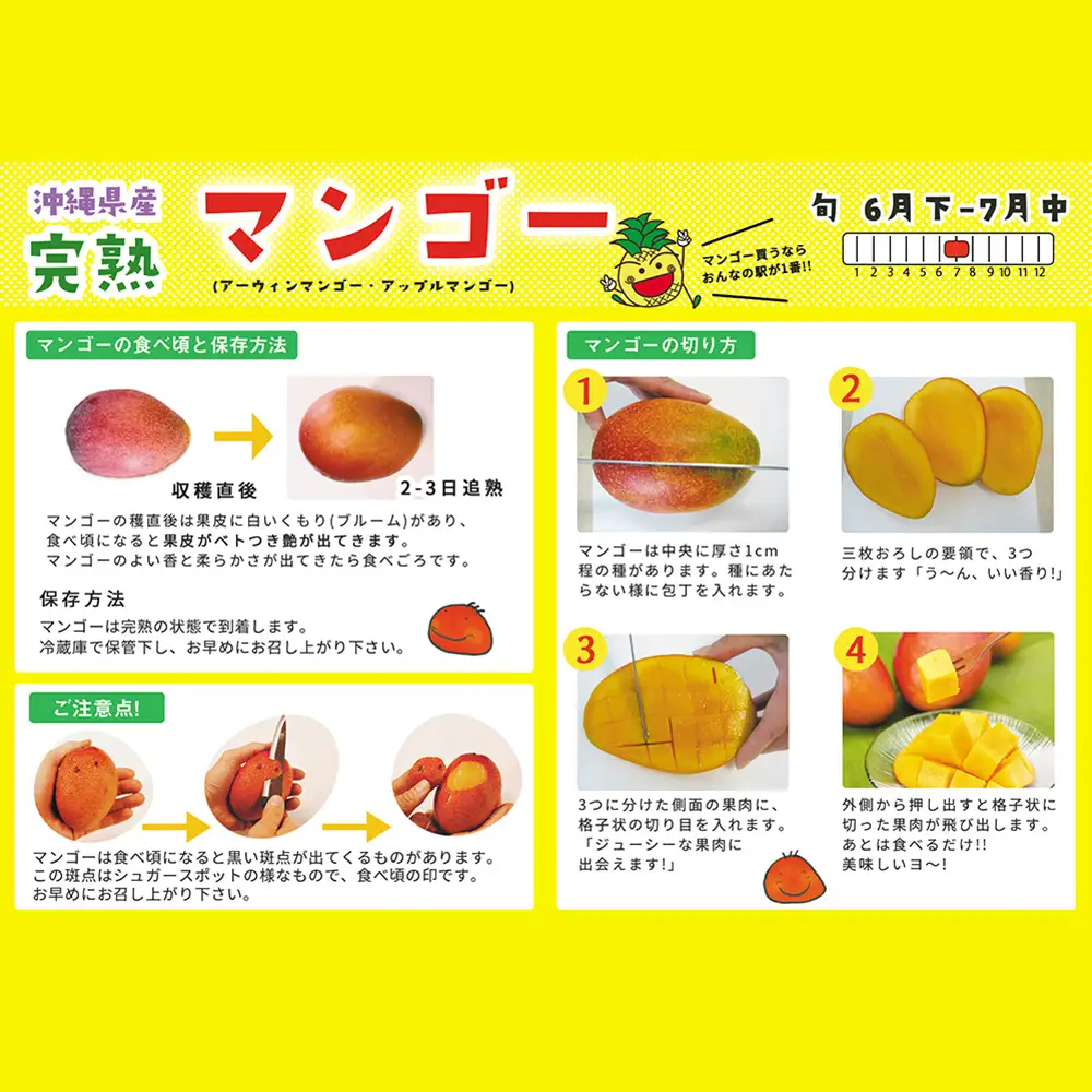 【2026年発送】おんなの駅 優品完熟マンゴー 約2kg（4玉～5玉入り） 