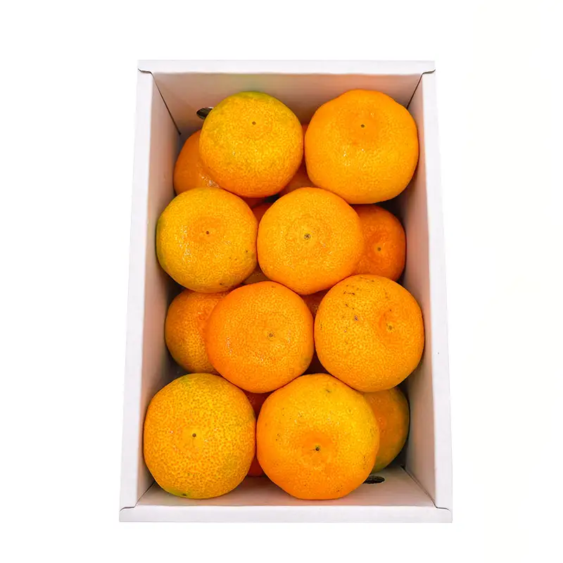 【7月下旬頃から順次発送】ハウスみかん 2S~Sサイズ 1.0kg 化粧箱 秀品 (青秀以上) | 愛媛県産 みかん 蜜柑 オレンジ 柑橘 果物 フルーツ 秀品 化粧箱 お取り寄せ おすすめ 愛媛県 松山市【FA120】