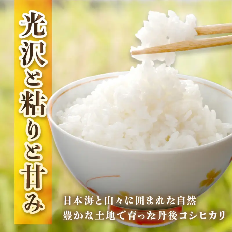 【3ヶ月定期便】直売所直送「令和8年産　京丹後市産　コシヒカリ」　無洗米10kg こめ ふるさと納税 コシヒカリ 米 精米