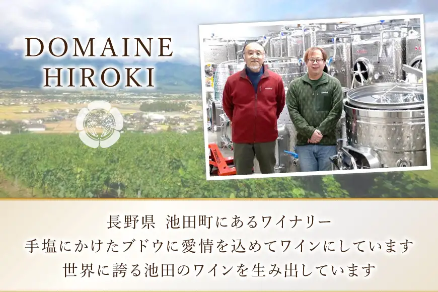 ワイン 白ワイン ソーヴィニヨン・ブラン 750ml 1本 [ヴィニョブル安曇野 長野県 池田町 48110838]