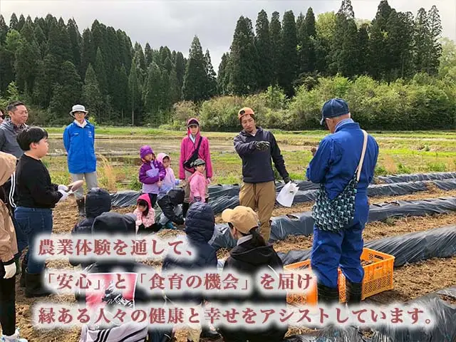 【射水の美味しいお米】【自然栽培農法】自然栽培農家 marufarm 自然栽培米「笑みの絆」5kg ※2026年10月～発送