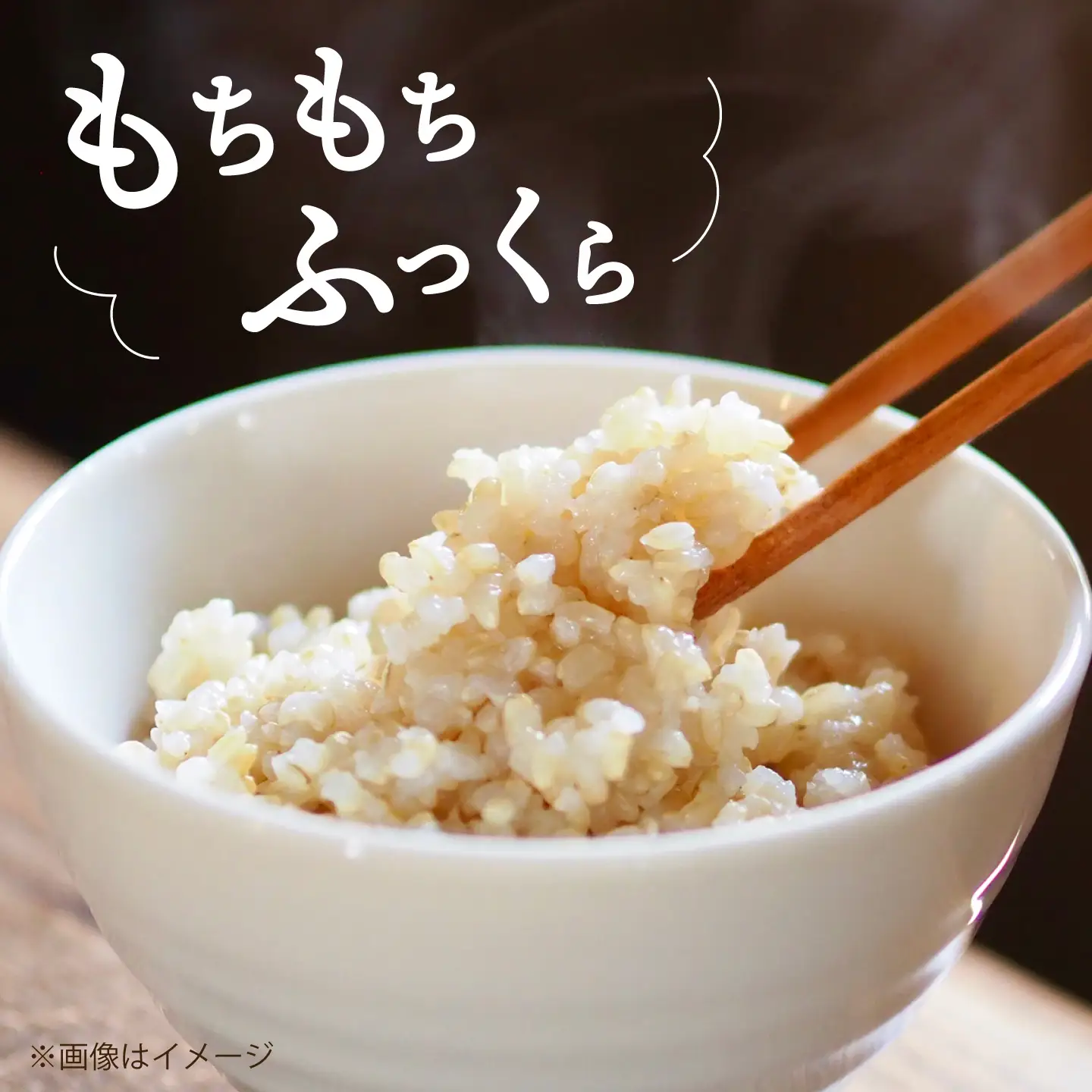 【発酵生活の入口】 3日間寝かせた 発芽発酵玄米ごはん 18食入 《豊前市》【株式会社GGG Forall】[VBJ030]