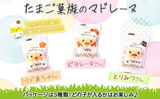 胡蝶庵　うみたてマドレーヌ　15個セット