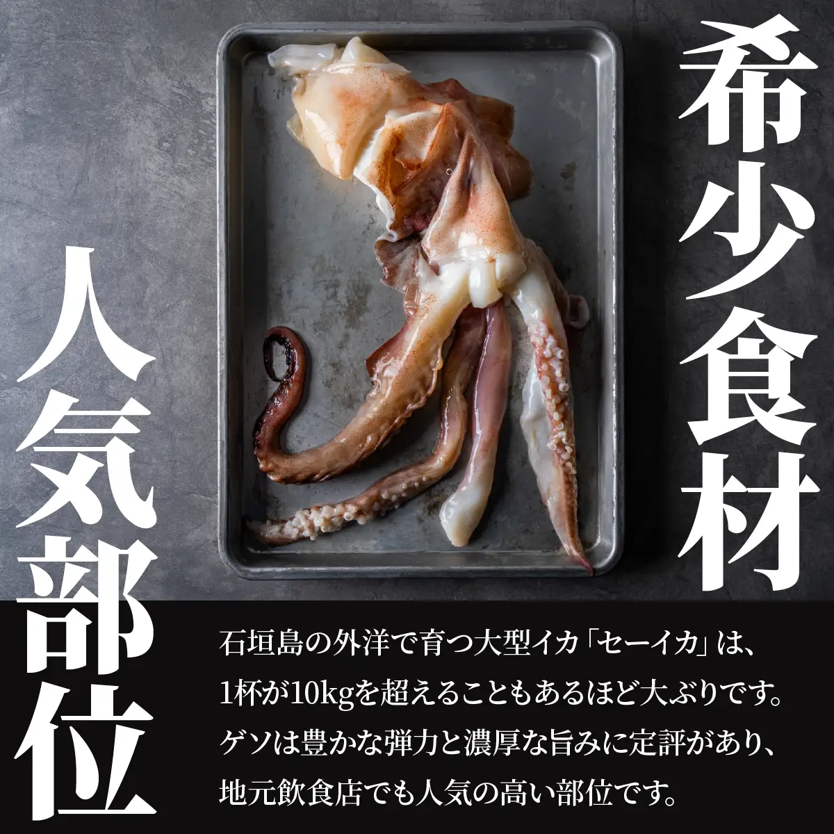 セーイカ げそ 300g×10パック 加熱用 石垣島産 ＜訳あり＞ 